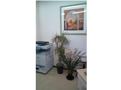 �A�[�`������Ўʐ^2