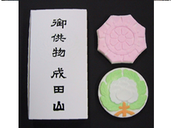 �L����ЋT�J���ʐ^1