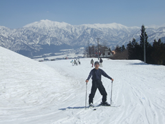 ������ЃW�F�C�E�G�X�E�s�[�T�[�r�X�ʐ^