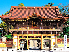 ���c�R�V�����ʐ^1