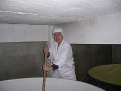 ���V�����ʐ^