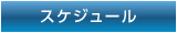 スケジュール
