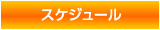 スケジュール