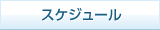 スケジュール